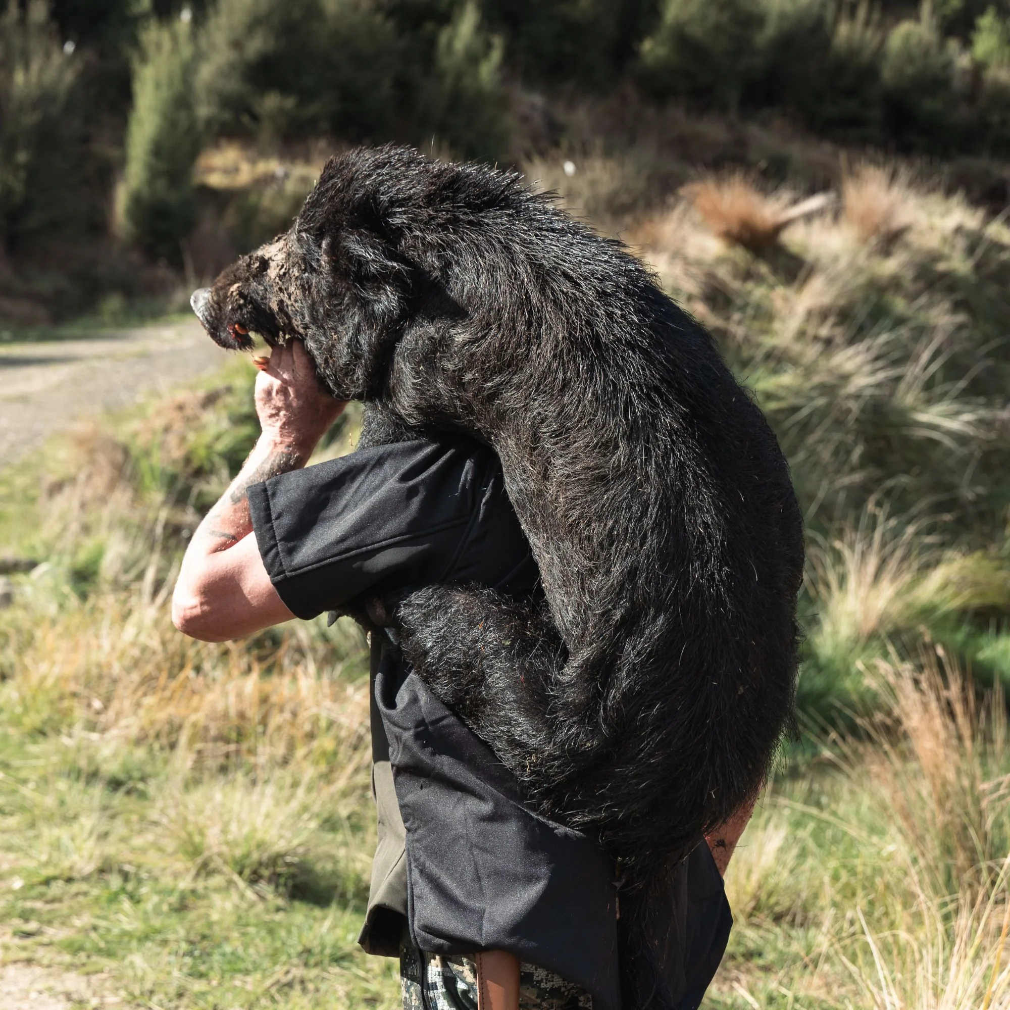 Tusk Bush Coat V2 - Image 6